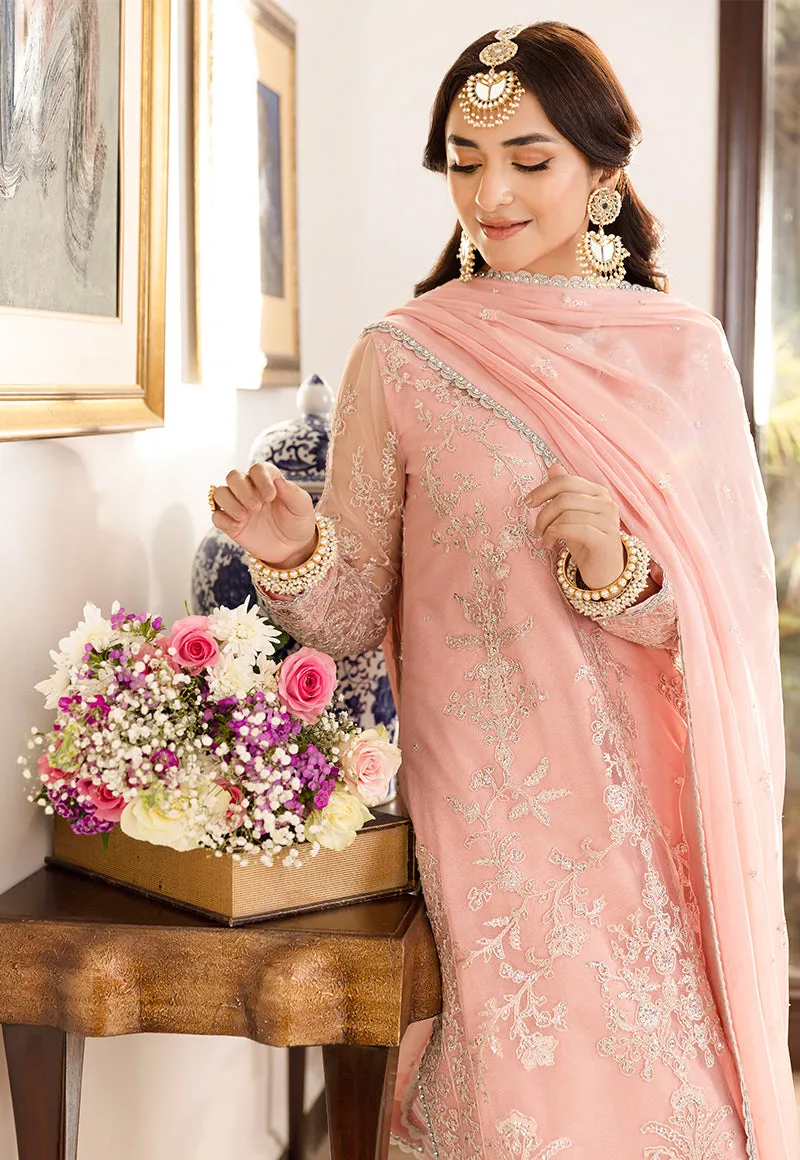 Asim Jofa Meerub Festive Collection – AJSM-36