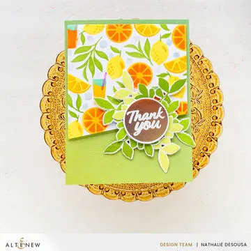 Citrus Fruits Pattern Layering Stencil Set (4 in 1)