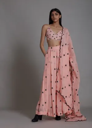 Clubs Counter Lehenga Set- Pink