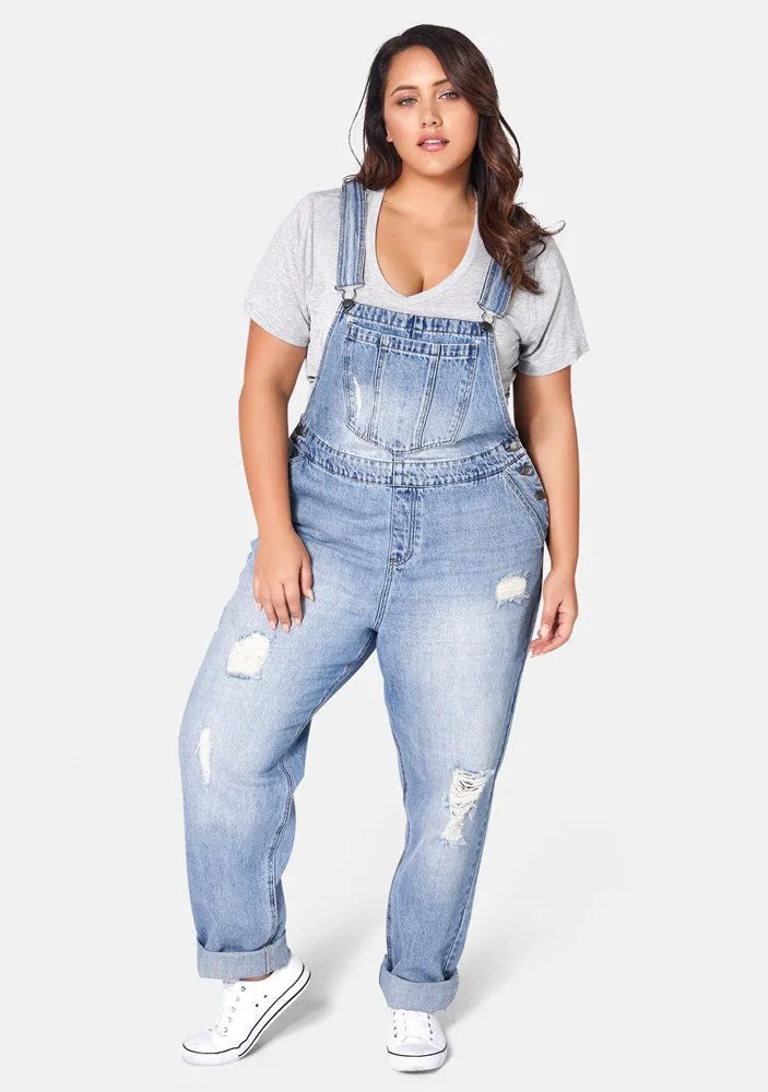 Dana Distressed Overalls