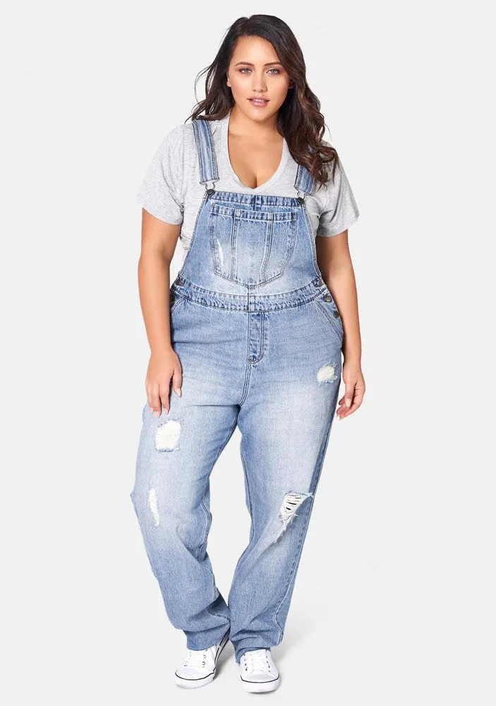 Dana Distressed Overalls