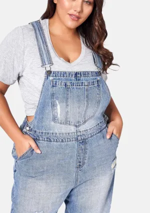 Dana Distressed Overalls