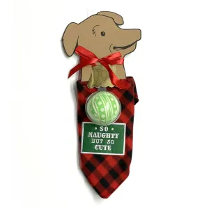 Grasslands Road Pet Bandana & Toy Ball Set - Large