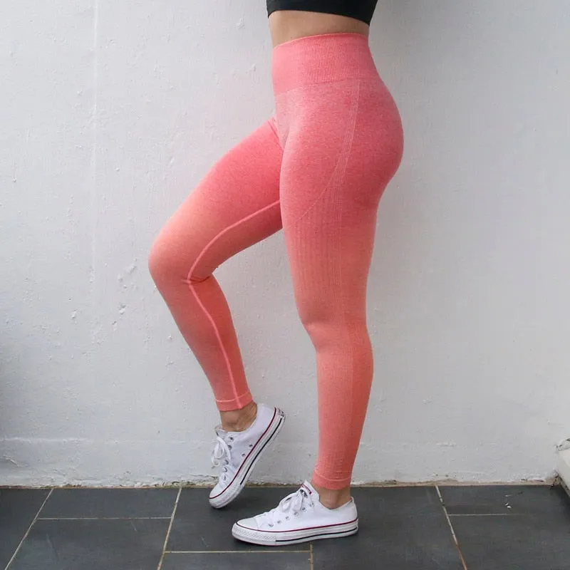High Waist Yoga Training Tights Gym Fitness Leggings
