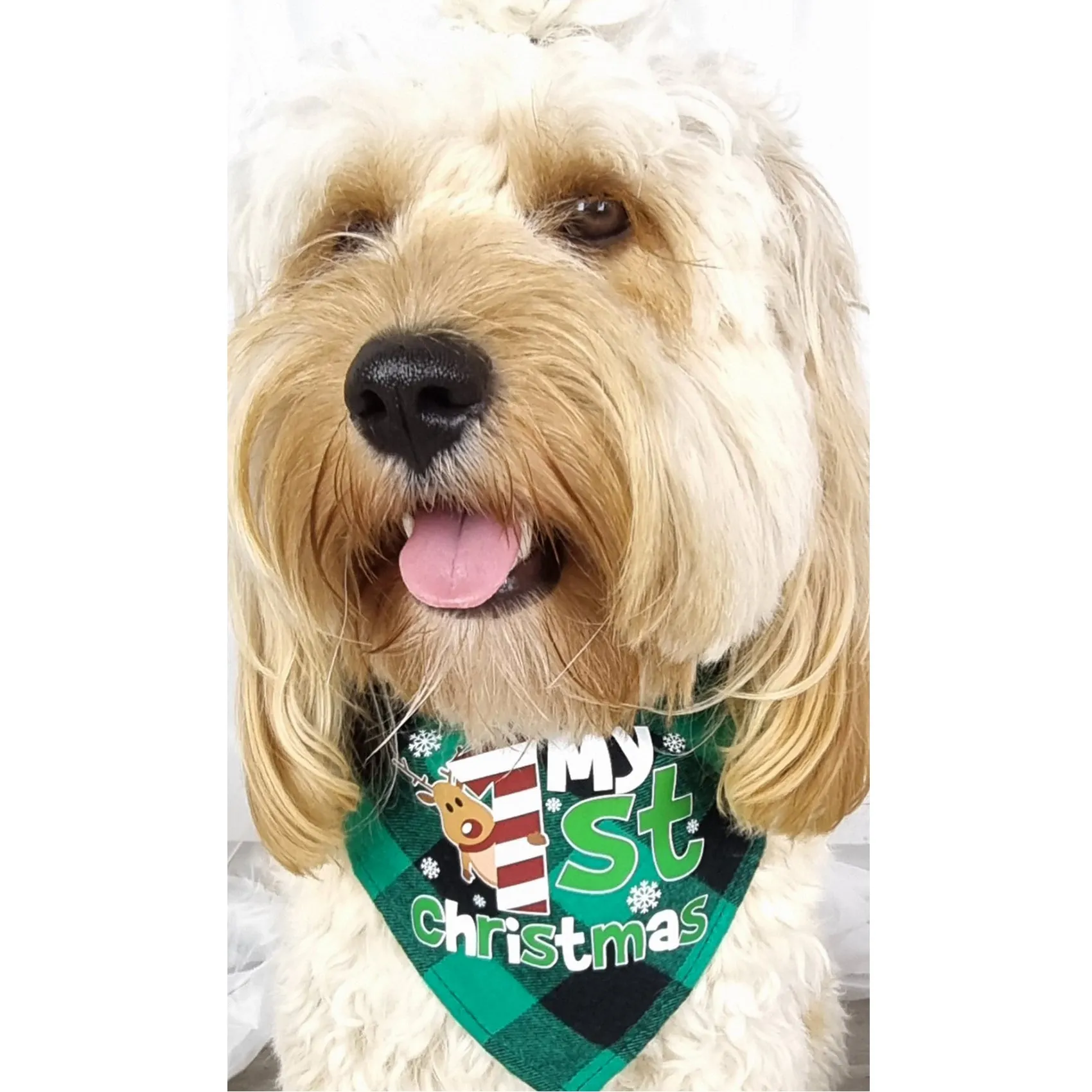 My 1st Christmas Green Plaid Bandana