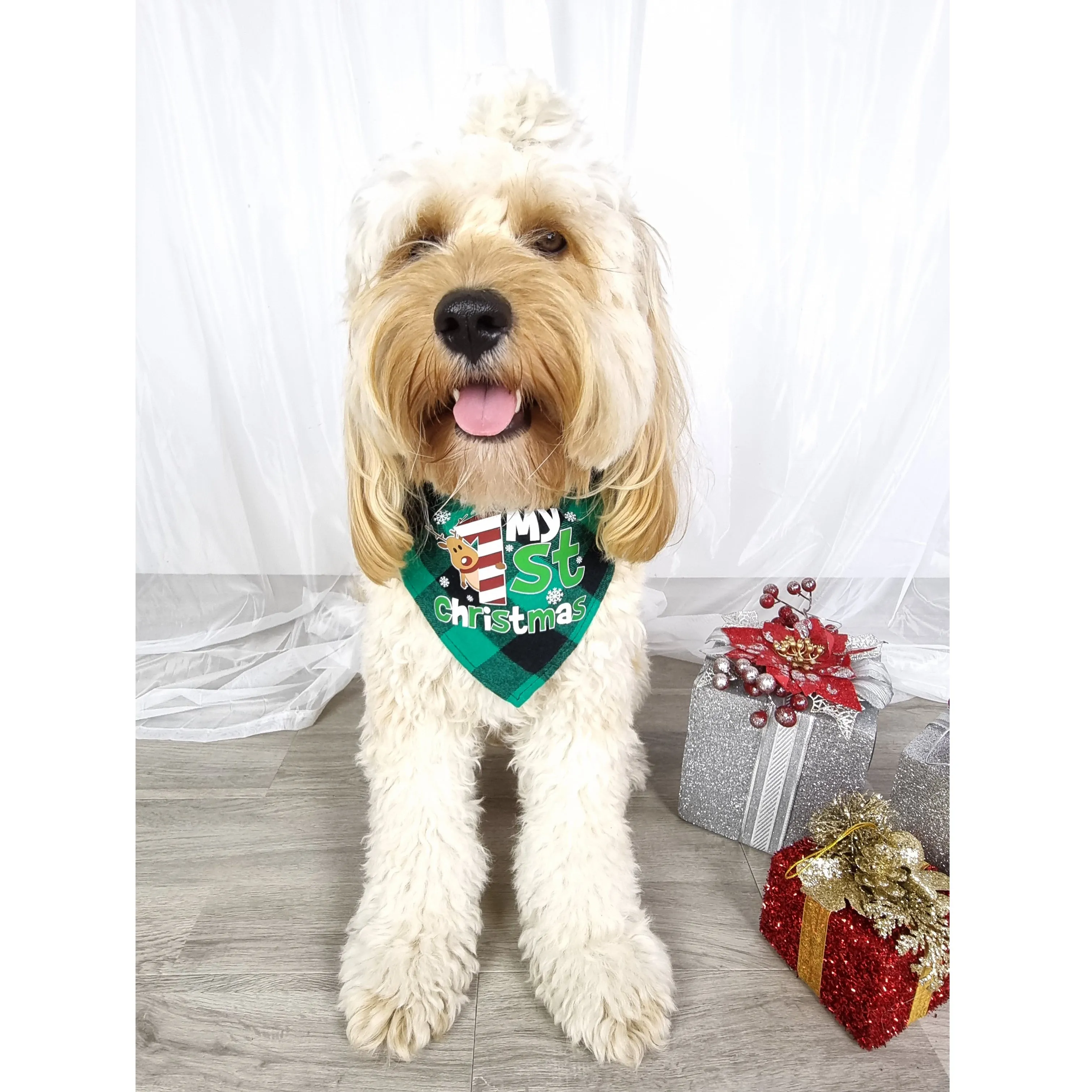 My 1st Christmas Green Plaid Bandana