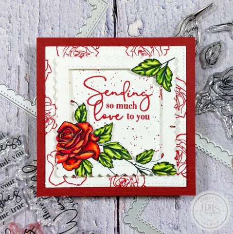 Trailing Hummingbird Layering Stencils - 3 Pack