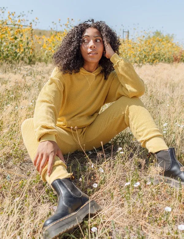 Waffle Pants Sunflower